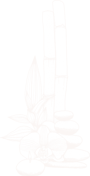 shape