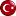 Türkçe